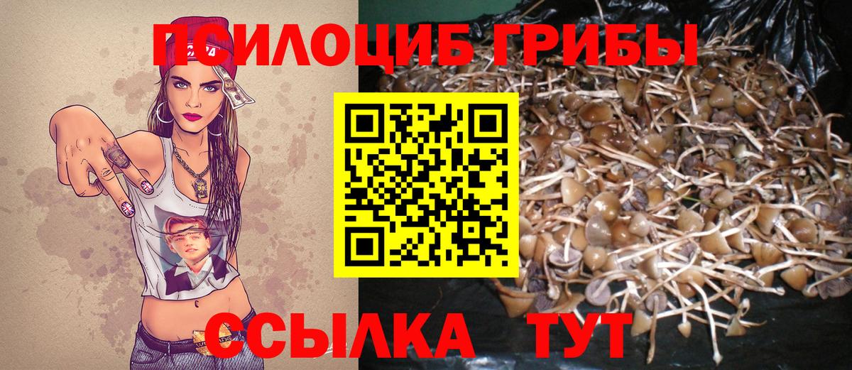 Барабинск  Галлюциногенные грибы мицелий  Псилоцибиновые грибы Psilocybine cubensis  Вход с VPN 